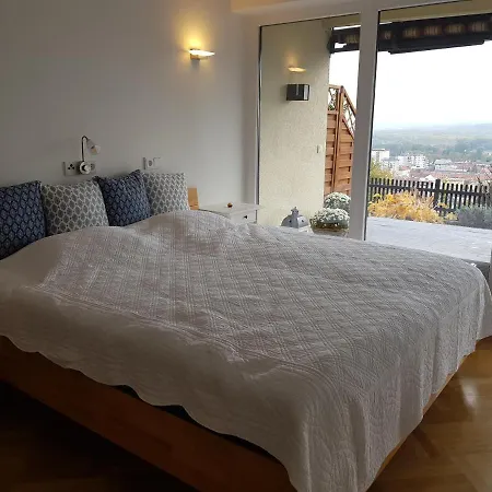 Apartman Blick Ueber Mit Terrasse Krems