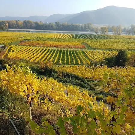 Lägenhet Blick Ueber Mit Terrasse