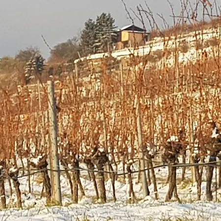 Blick Ueber Mit Terrasse Διαμέρισμα *