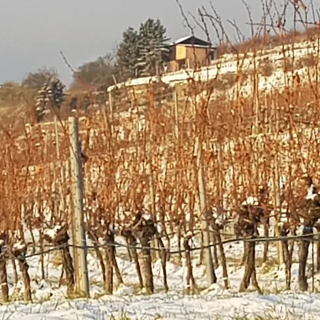 Blick Ueber Mit Terrasse Lägenhet *