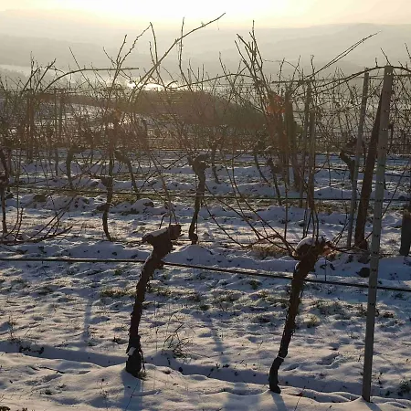 Blick über Mit Terrasse Apartamento