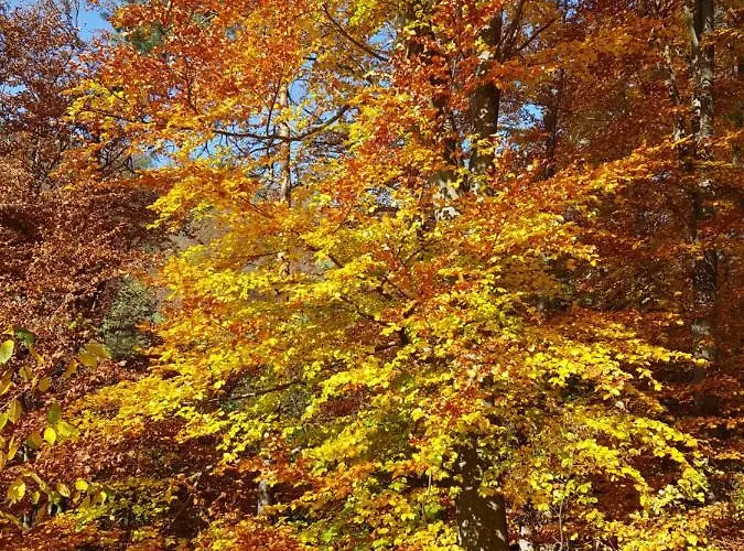Blick Ueber Mit Terrasse * Кремс на Дунае