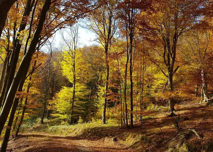 Blick Ueber Mit Terrasse *
