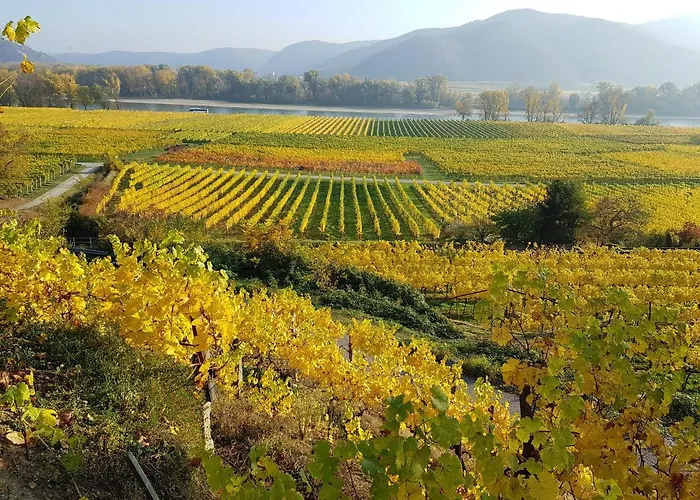 Appartement Blick Ueber Mit Terrasse