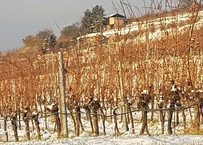 Blick Ueber Mit Terrasse Апартаменты *