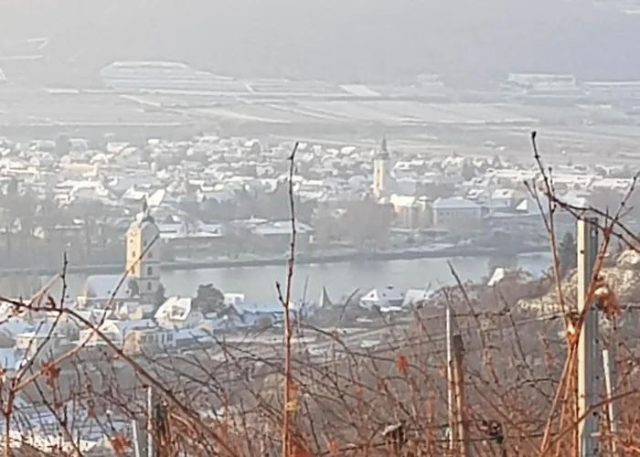 Blick Ueber Mit Terrasse *