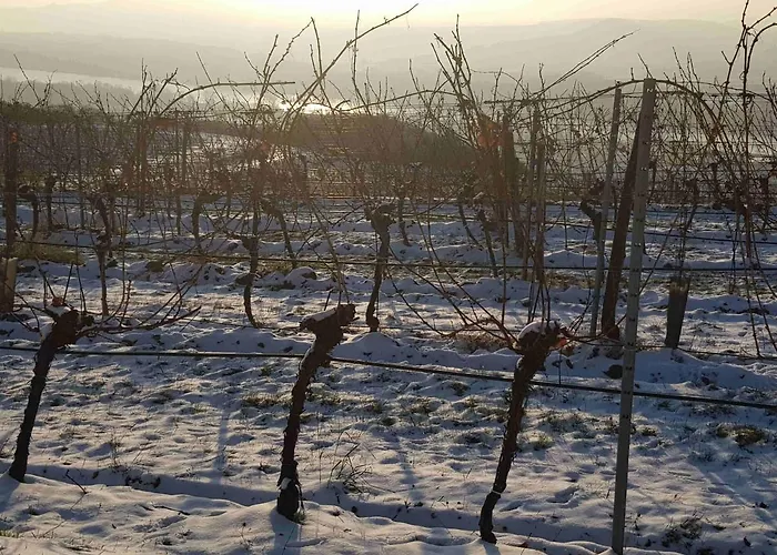 Blick Ueber Mit Terrasse Апартаменты